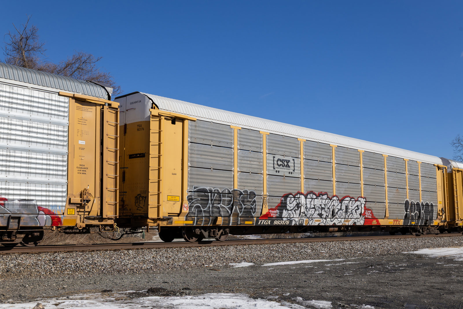 TTGX 983176