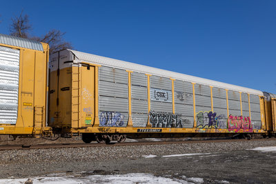 TTGX 159654