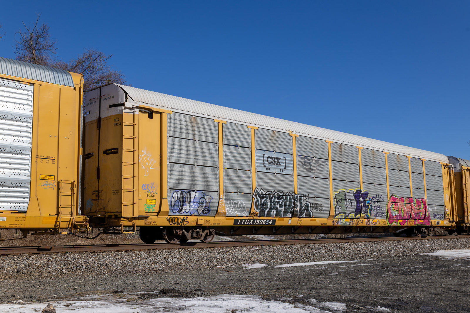 TTGX 159654