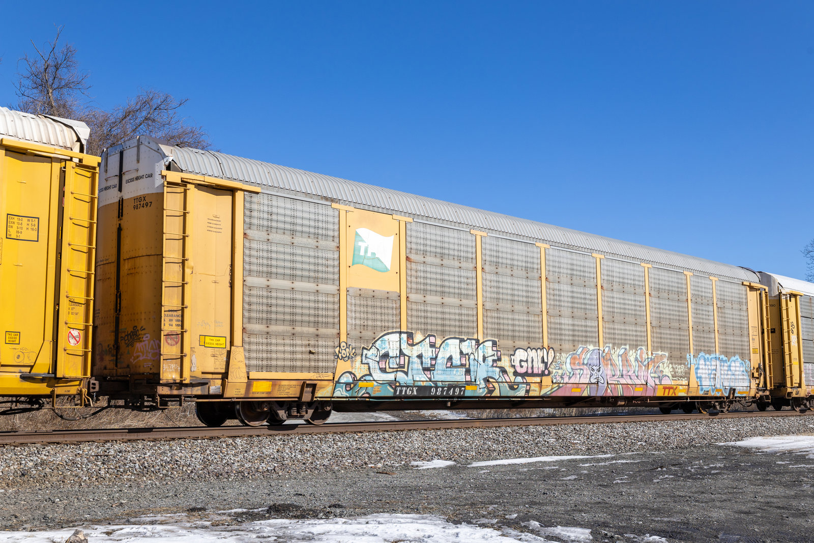 TTGX 987497