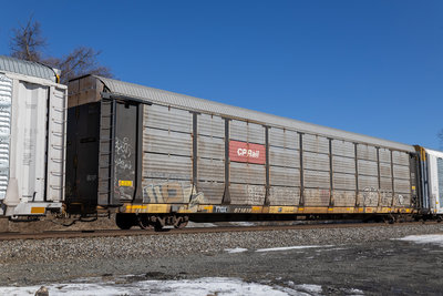 TTGX 971819
