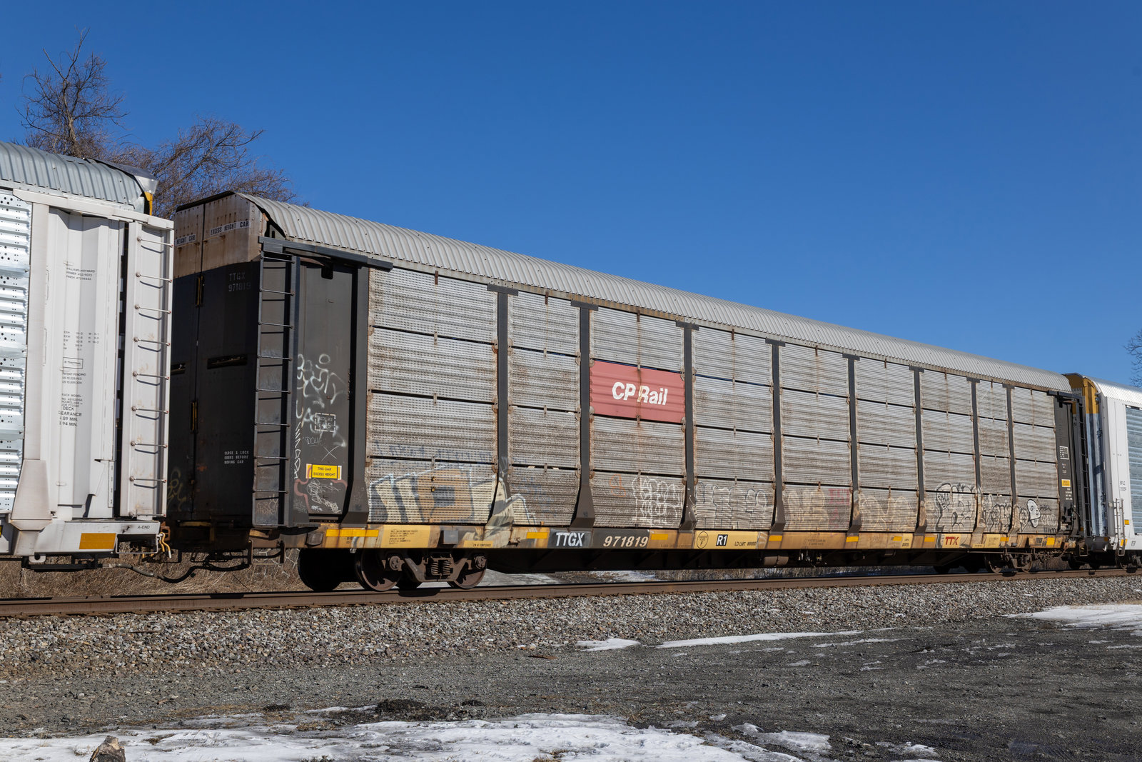 TTGX 971819