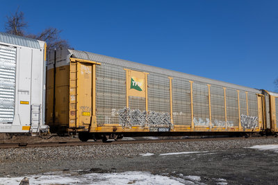 TTGX 995614