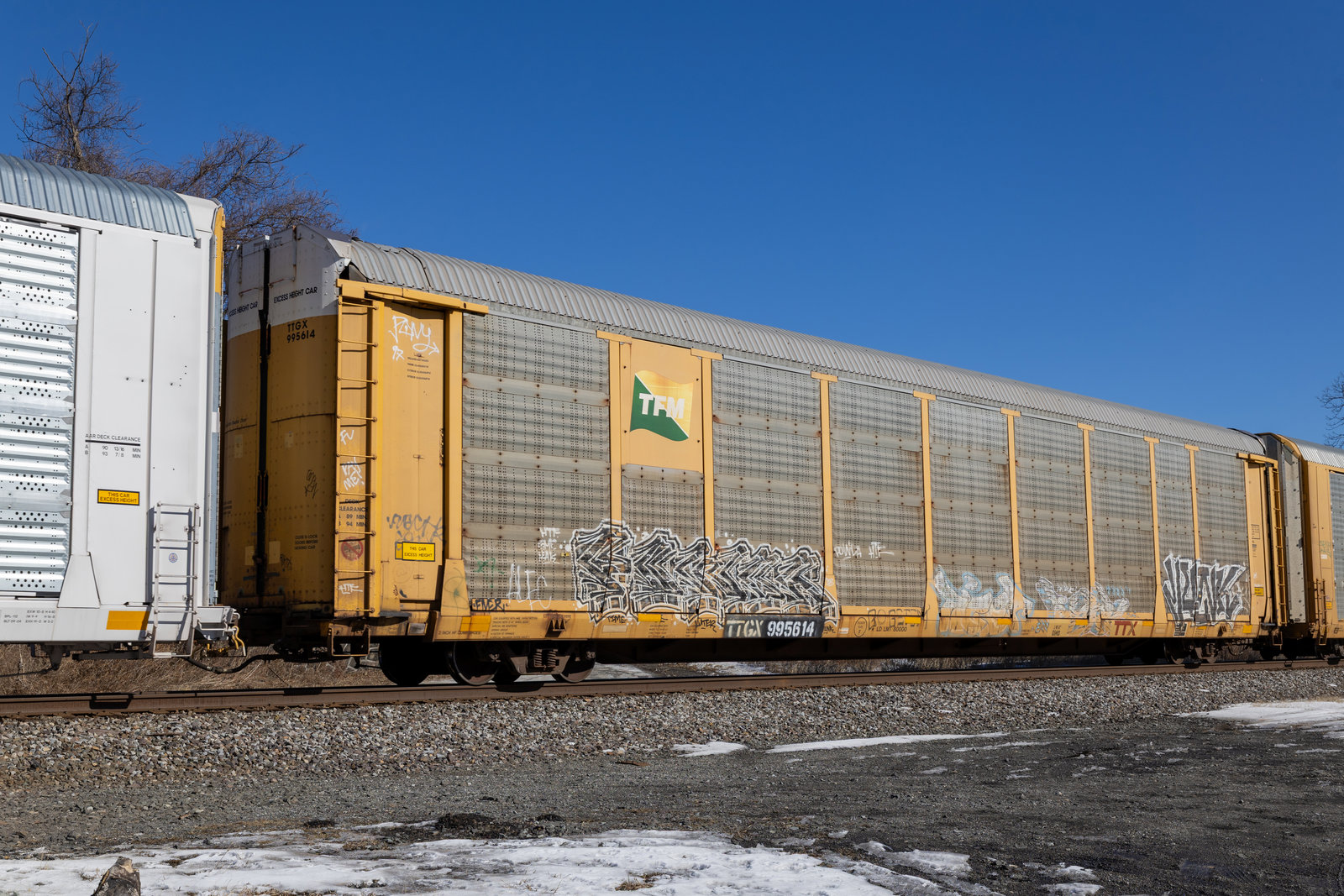 TTGX 995614