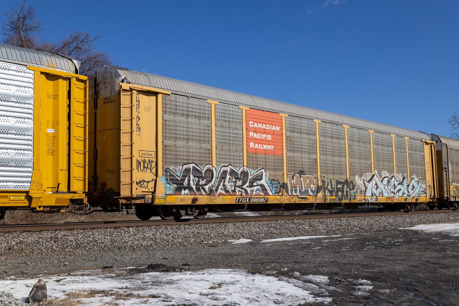 TTGX 996967