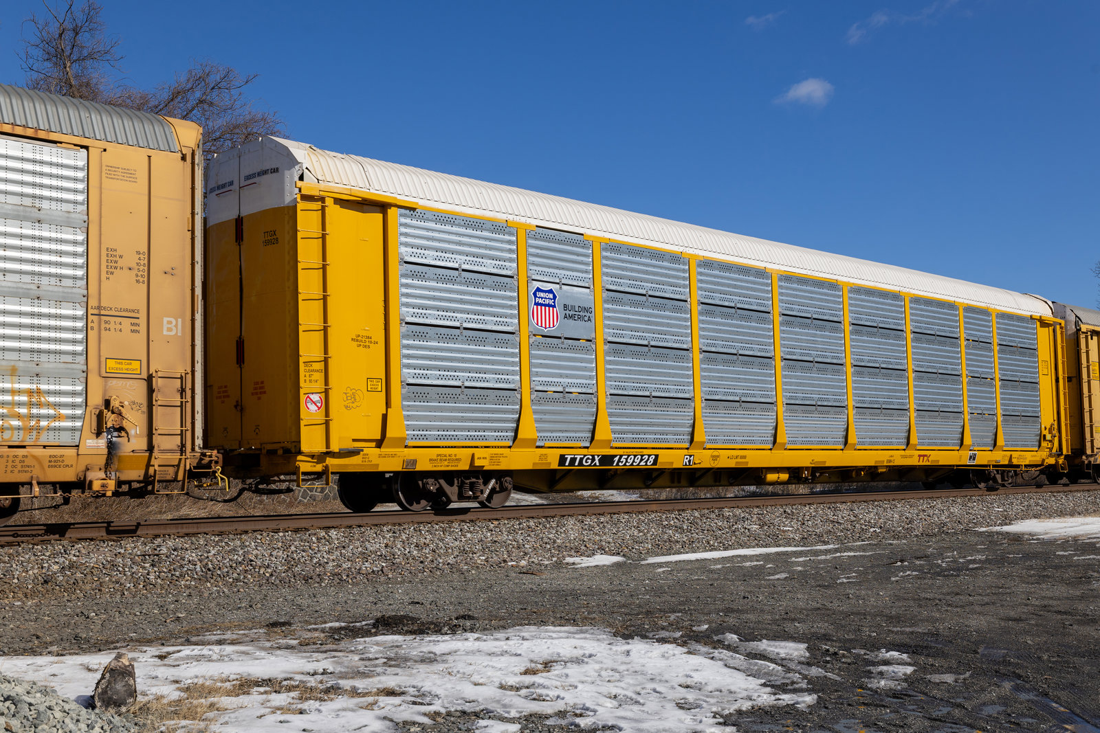 TTGX 159928