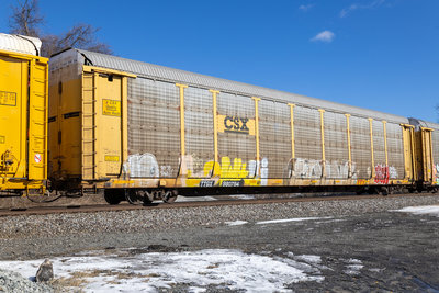 TTGX 980794