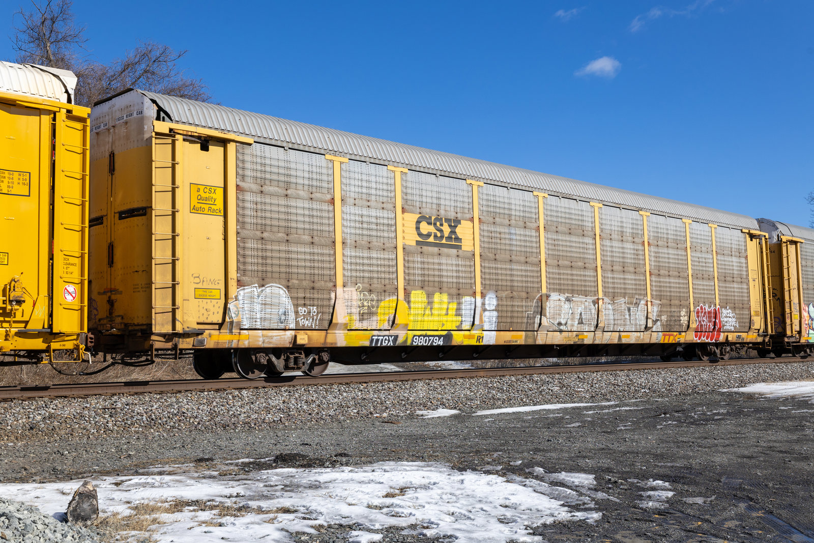 TTGX 980794