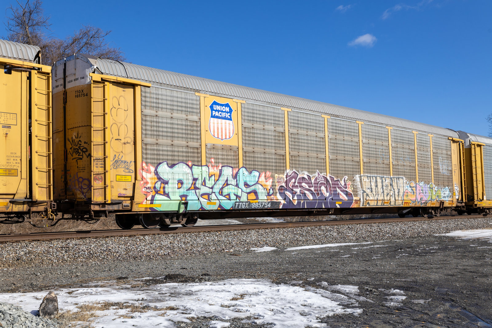 TTGX 985754