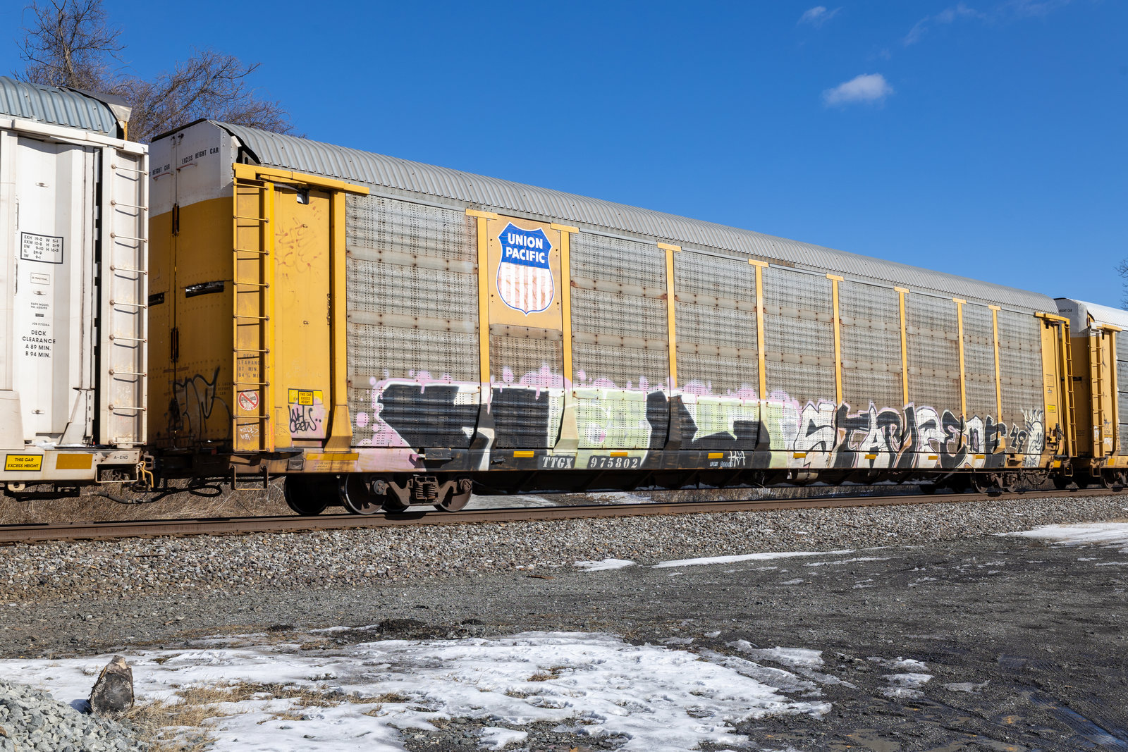 TTGX 975802