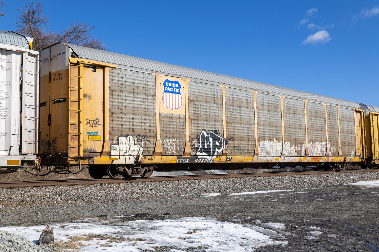 TTGX 993294