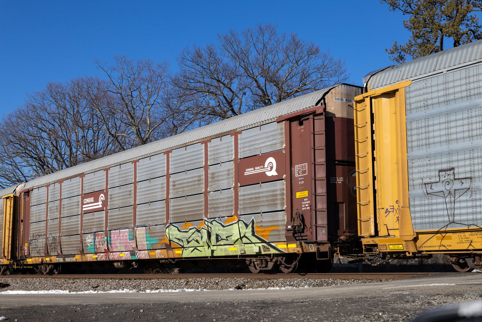 TTGX 980598
