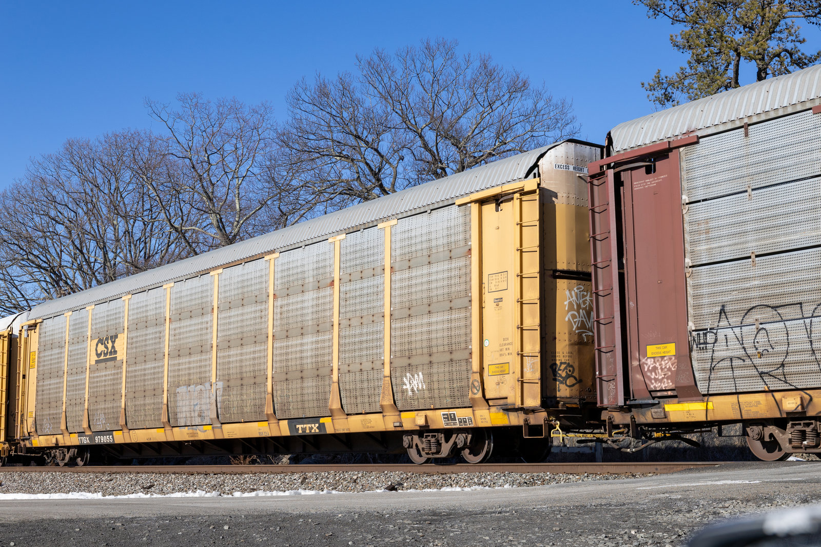 TTGX 979055