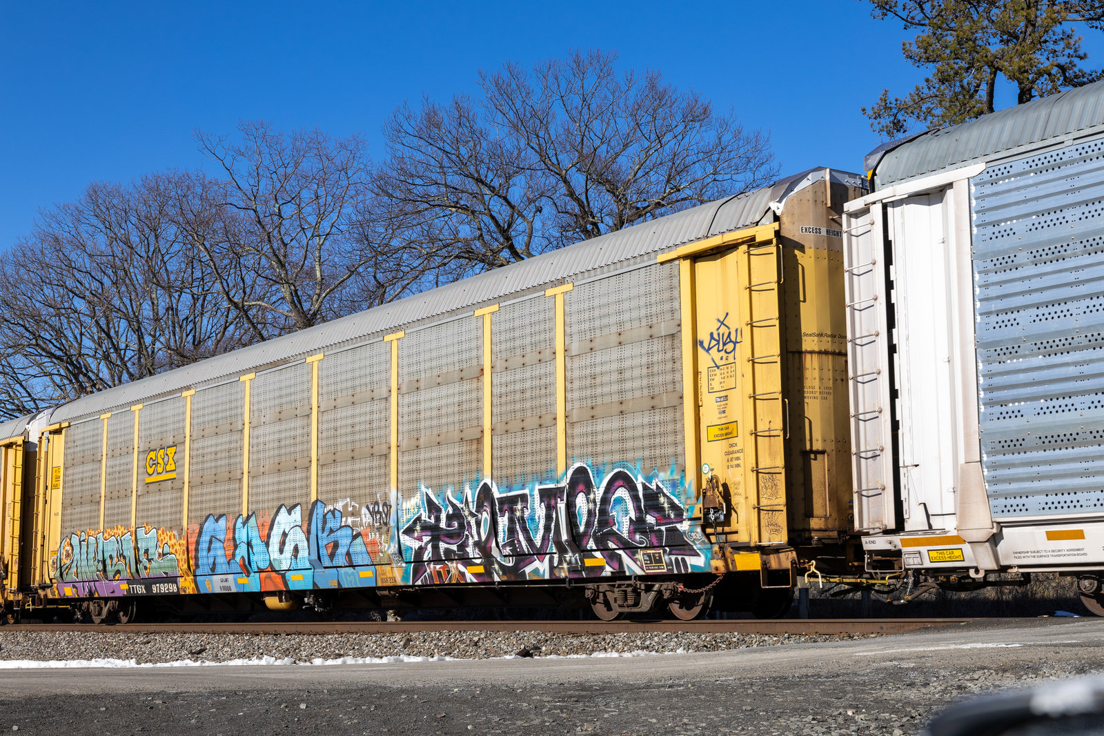 TTGX 979298