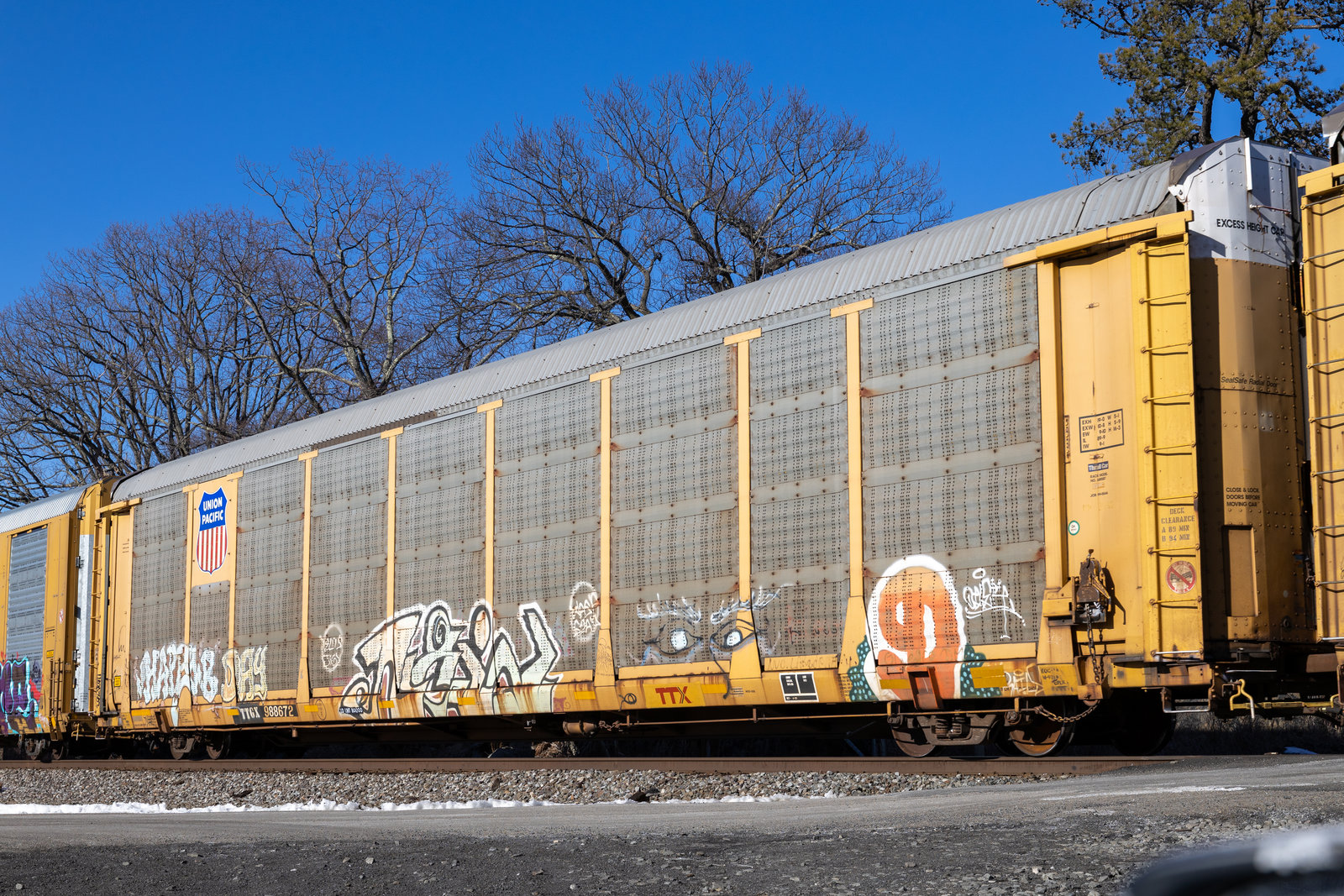 TTGX 988672