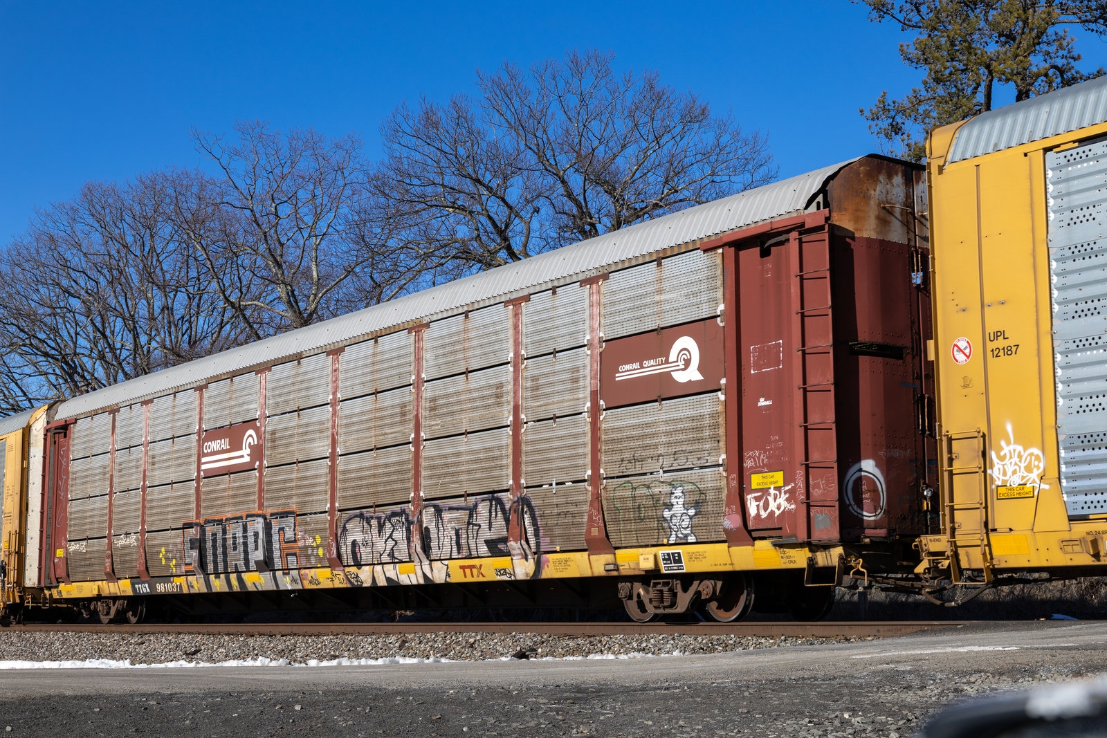 TTGX 981037
