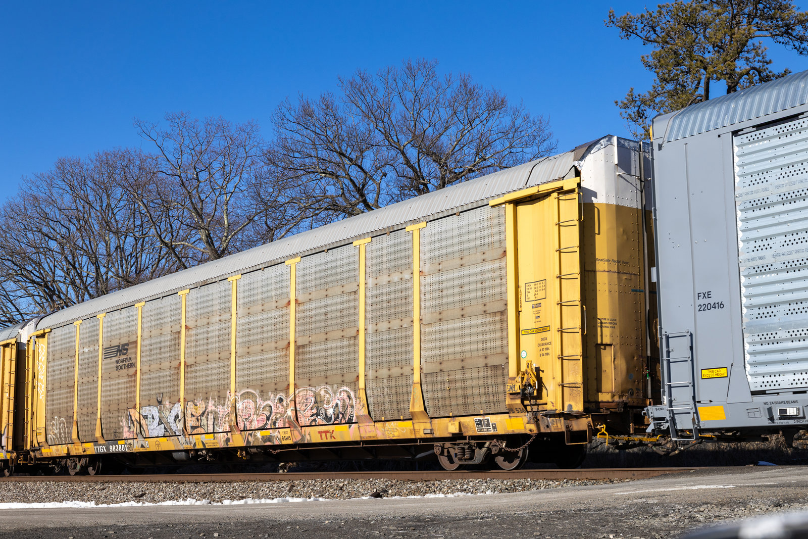 TTGX 983801