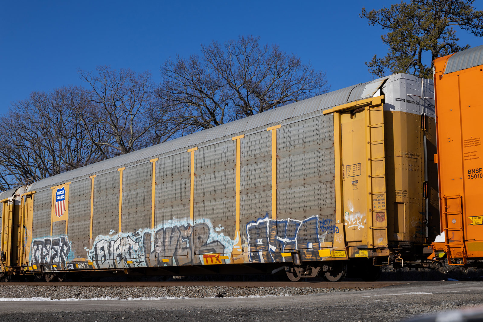 TTGX 988473