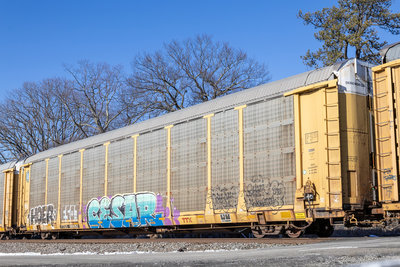 TTGX 989052
