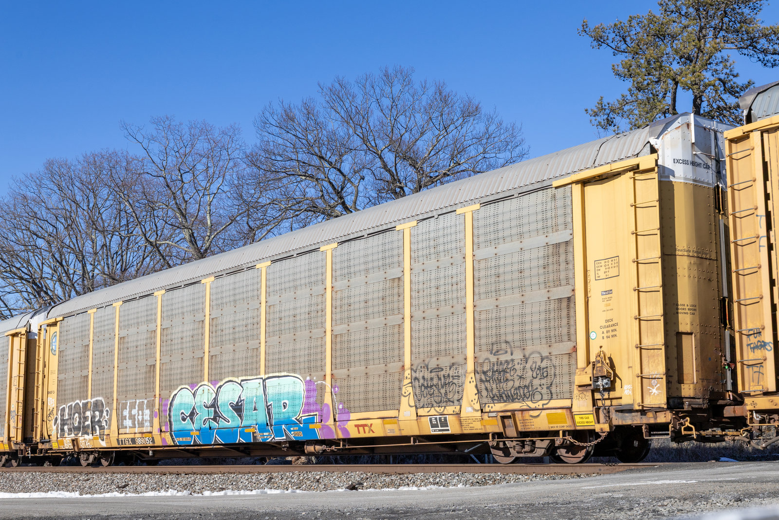 TTGX 989052