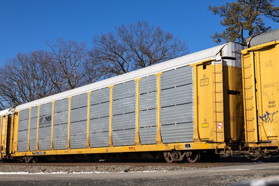 TTGX 964493