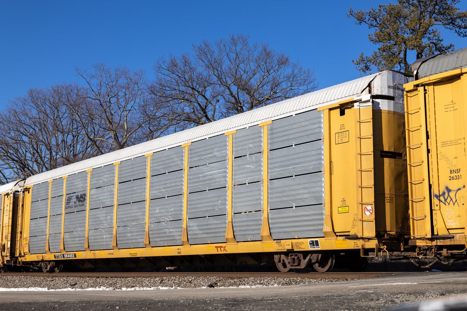 TTGX 964493