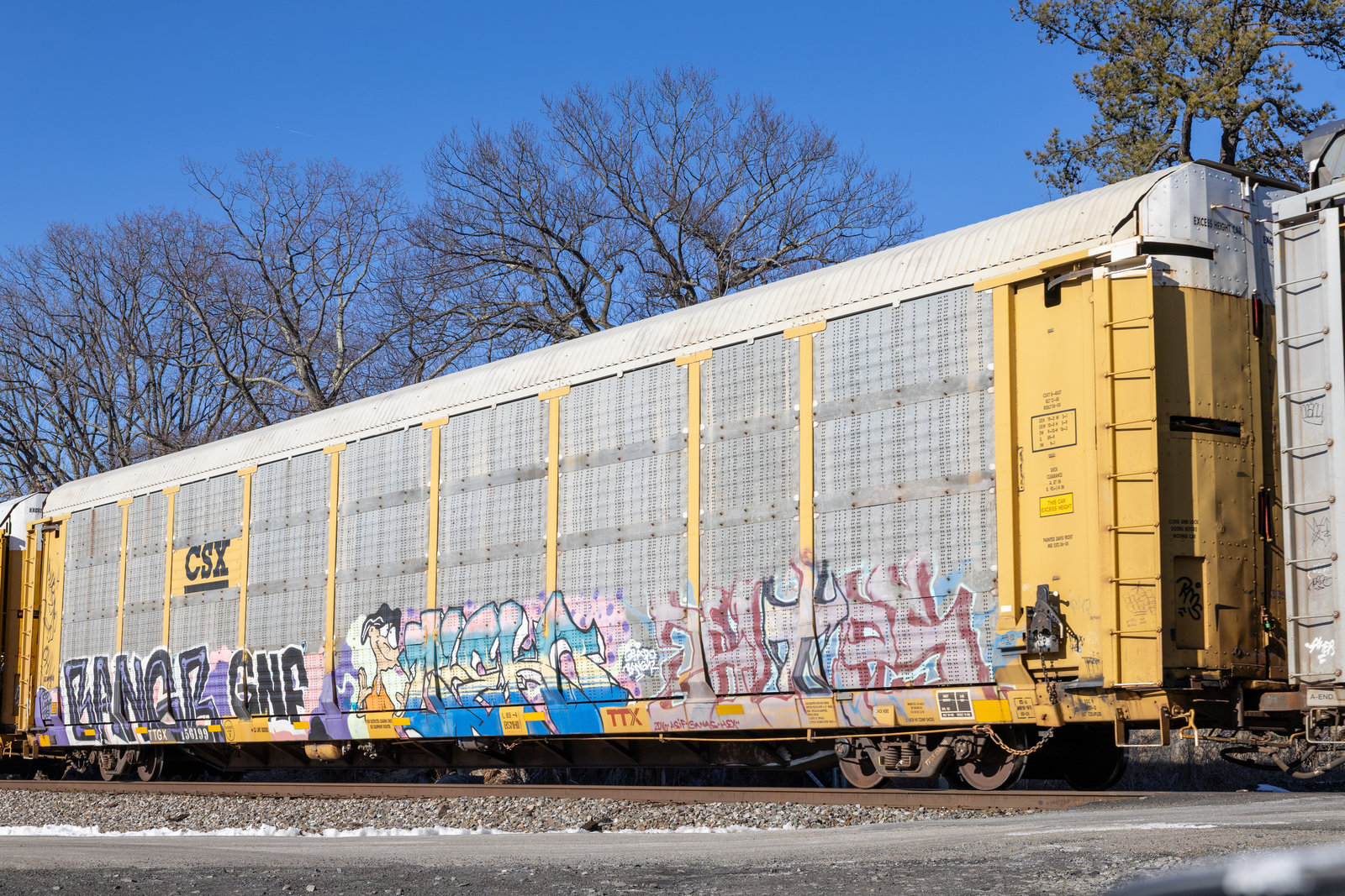 TTGX 156199