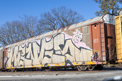 TTGX 253335