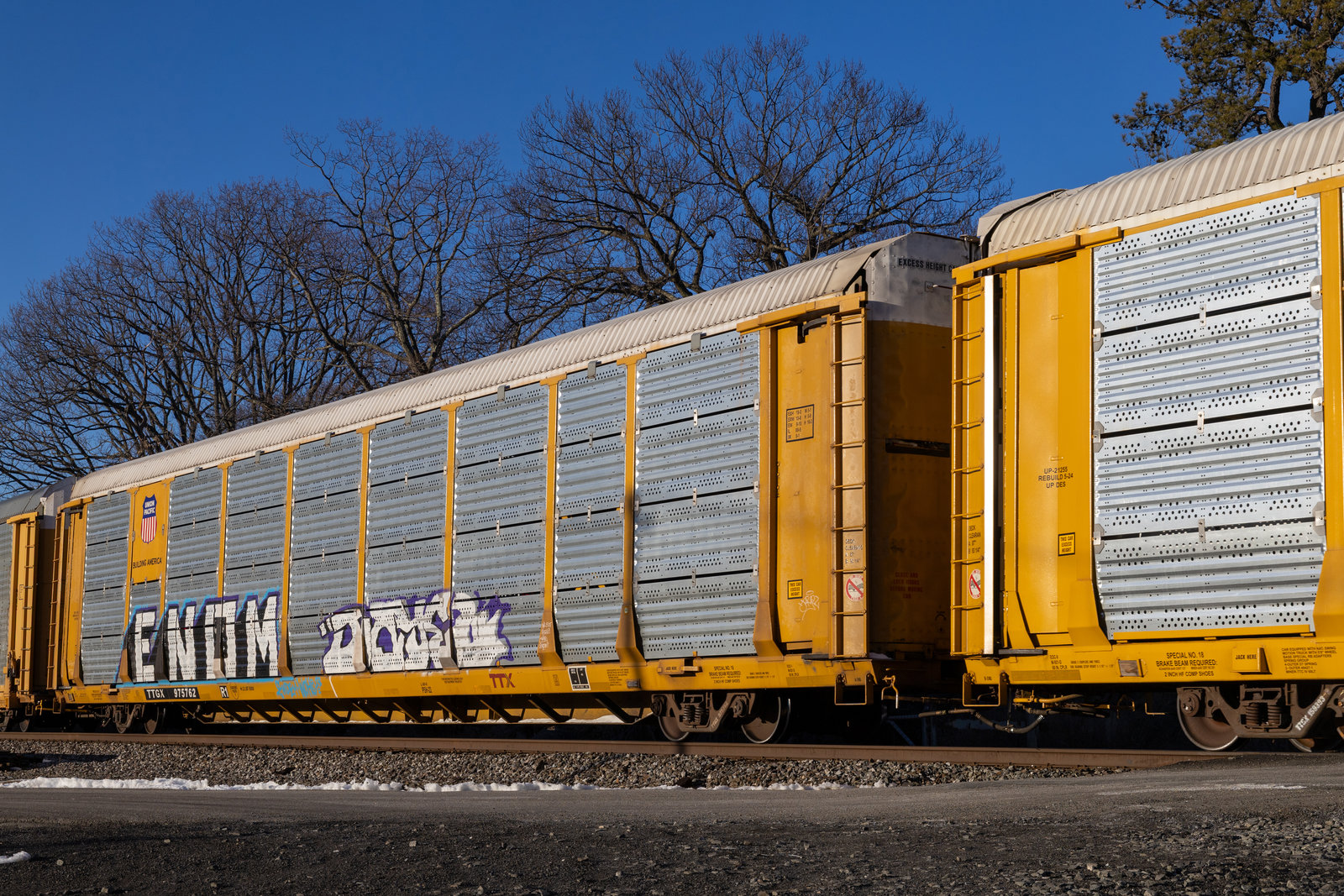 TTGX 975762