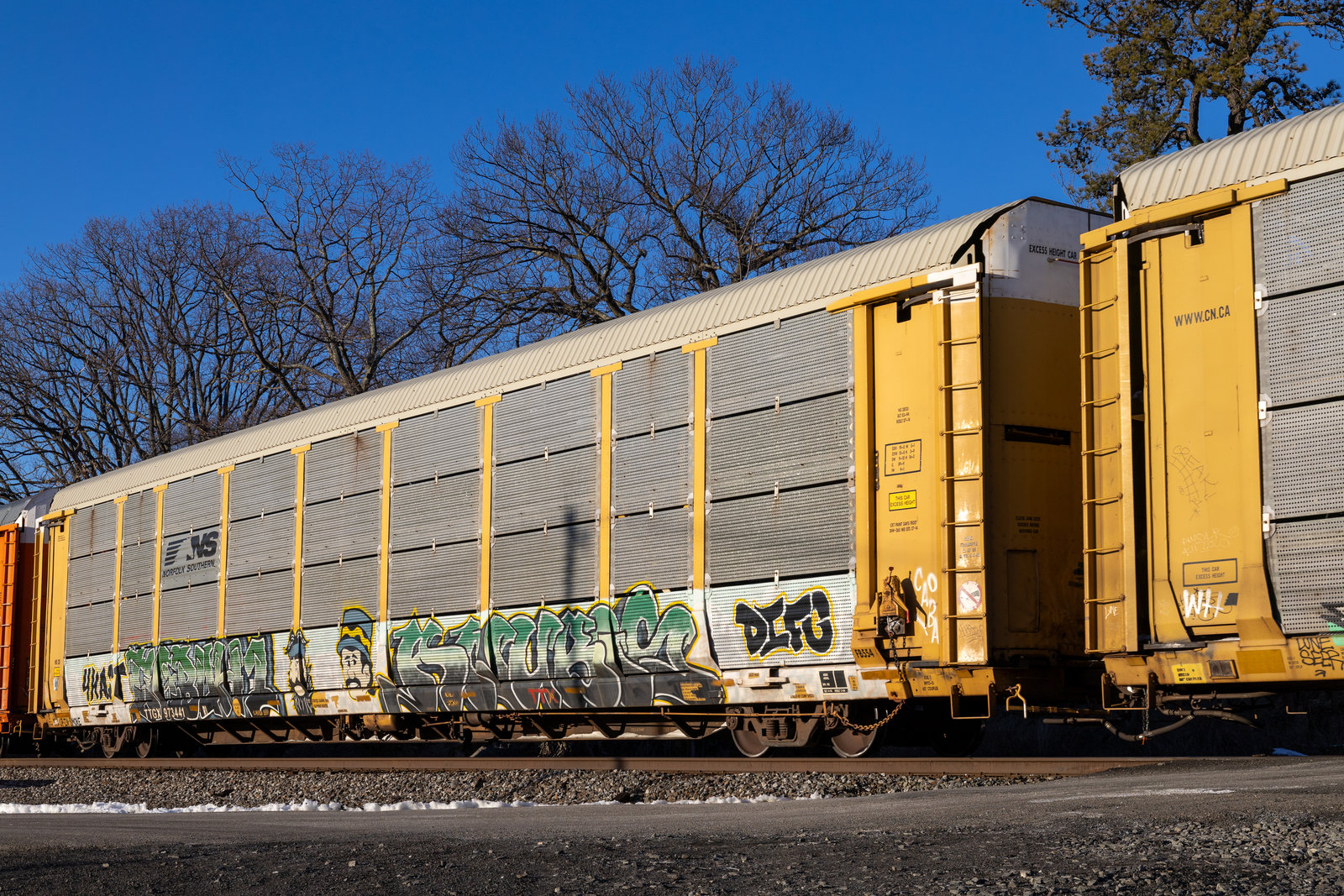 TTGX 973441