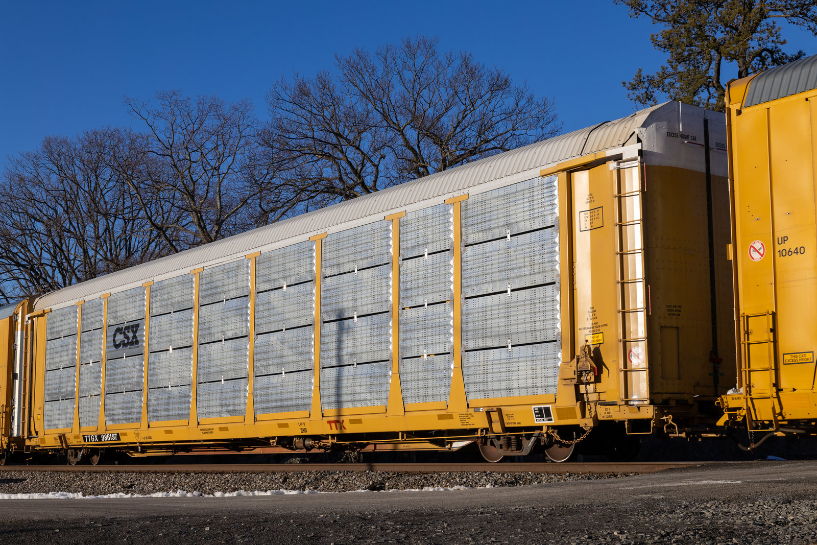 TTGX 986197
