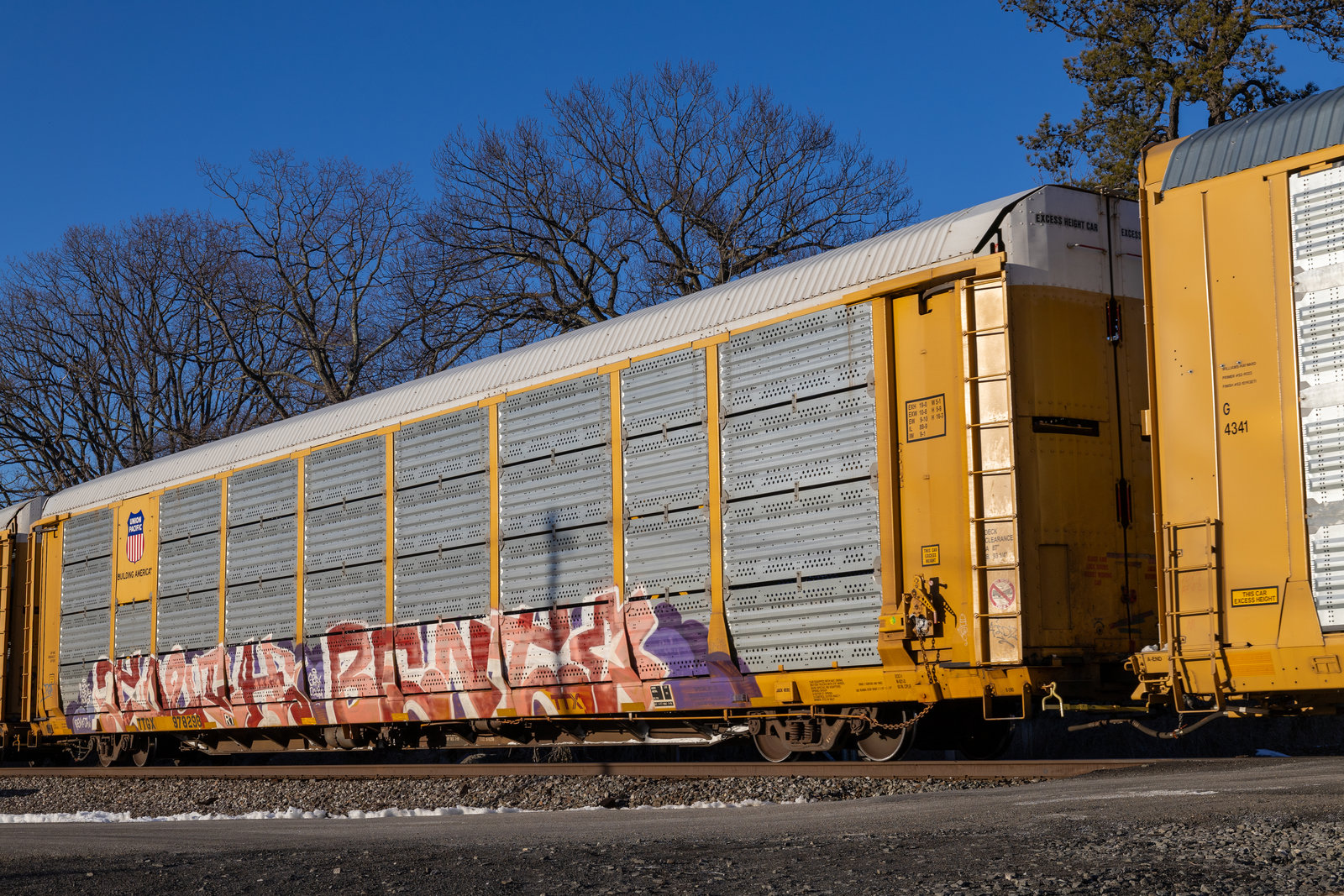 TTGX 978298