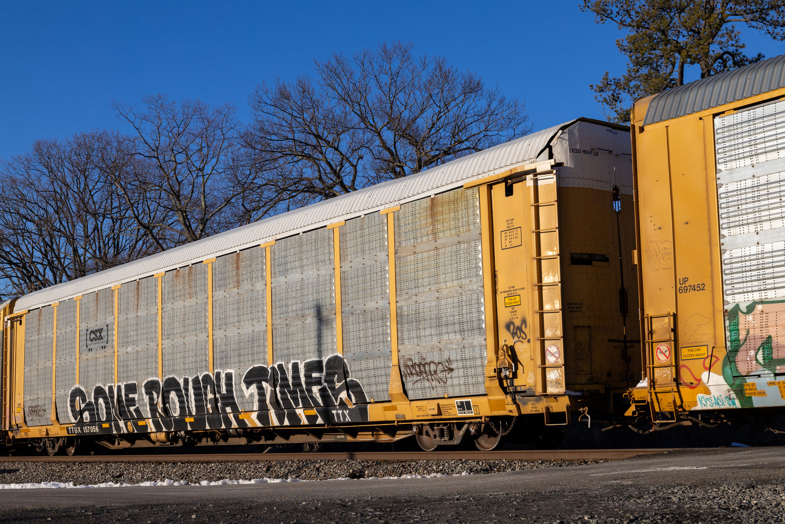 TTGX 157056