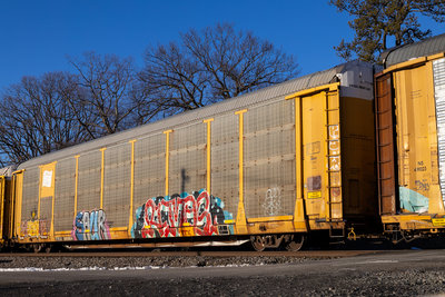 TTGX 995664