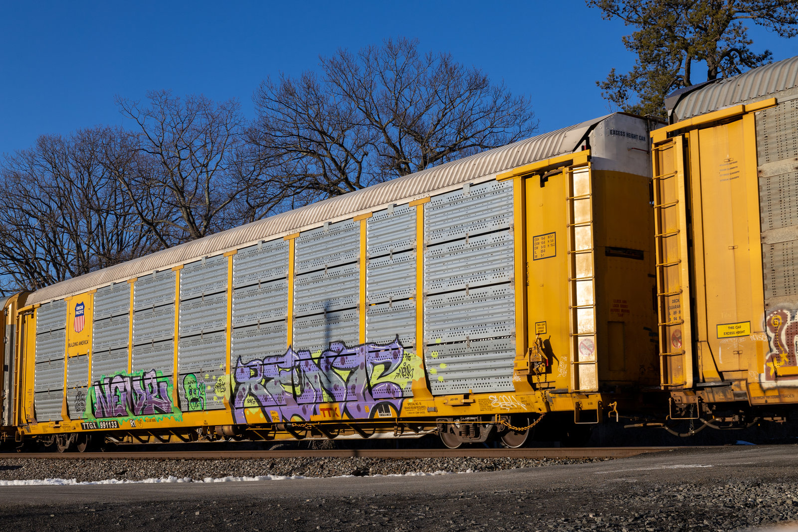 TTGX 991133