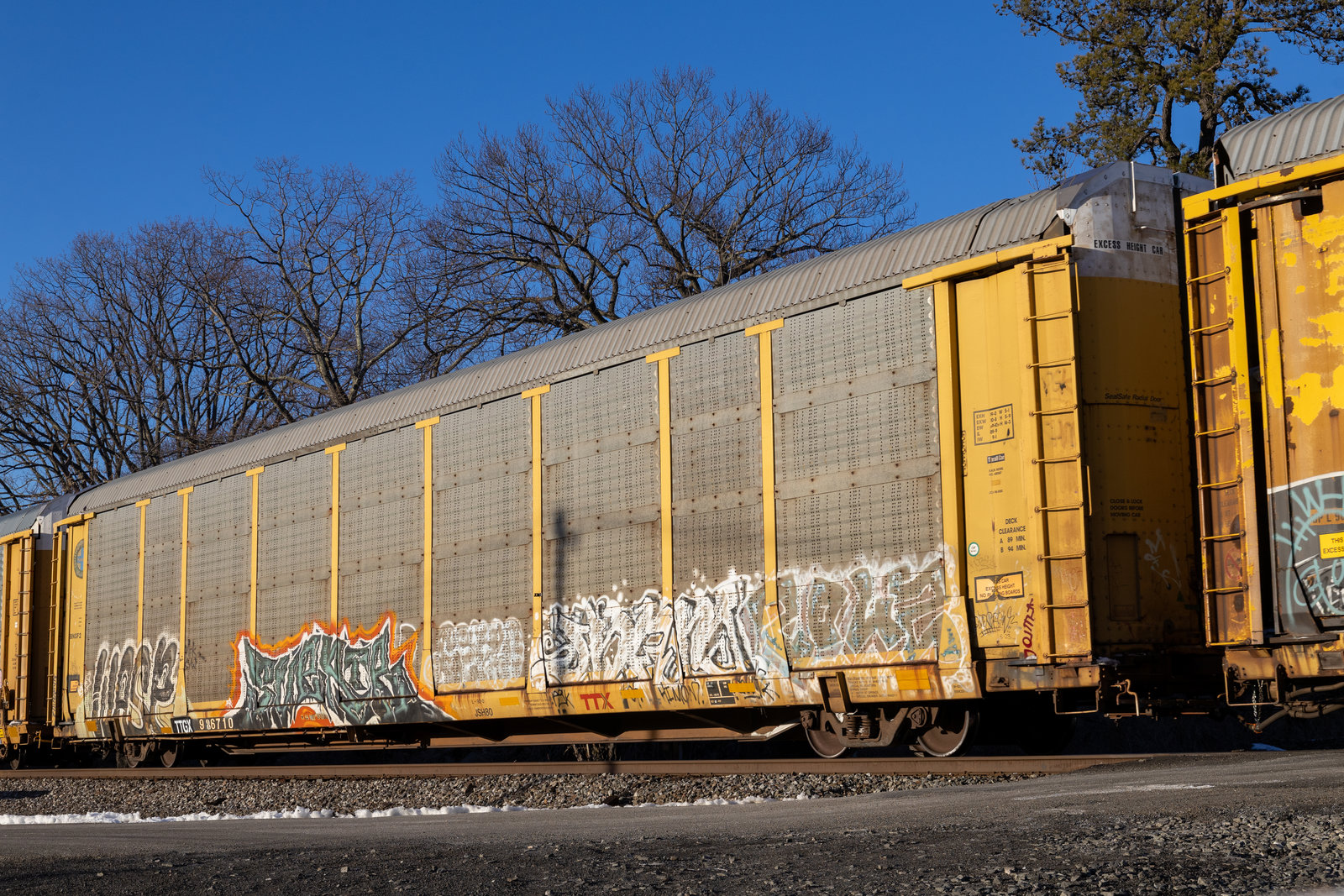 TTGX 986710