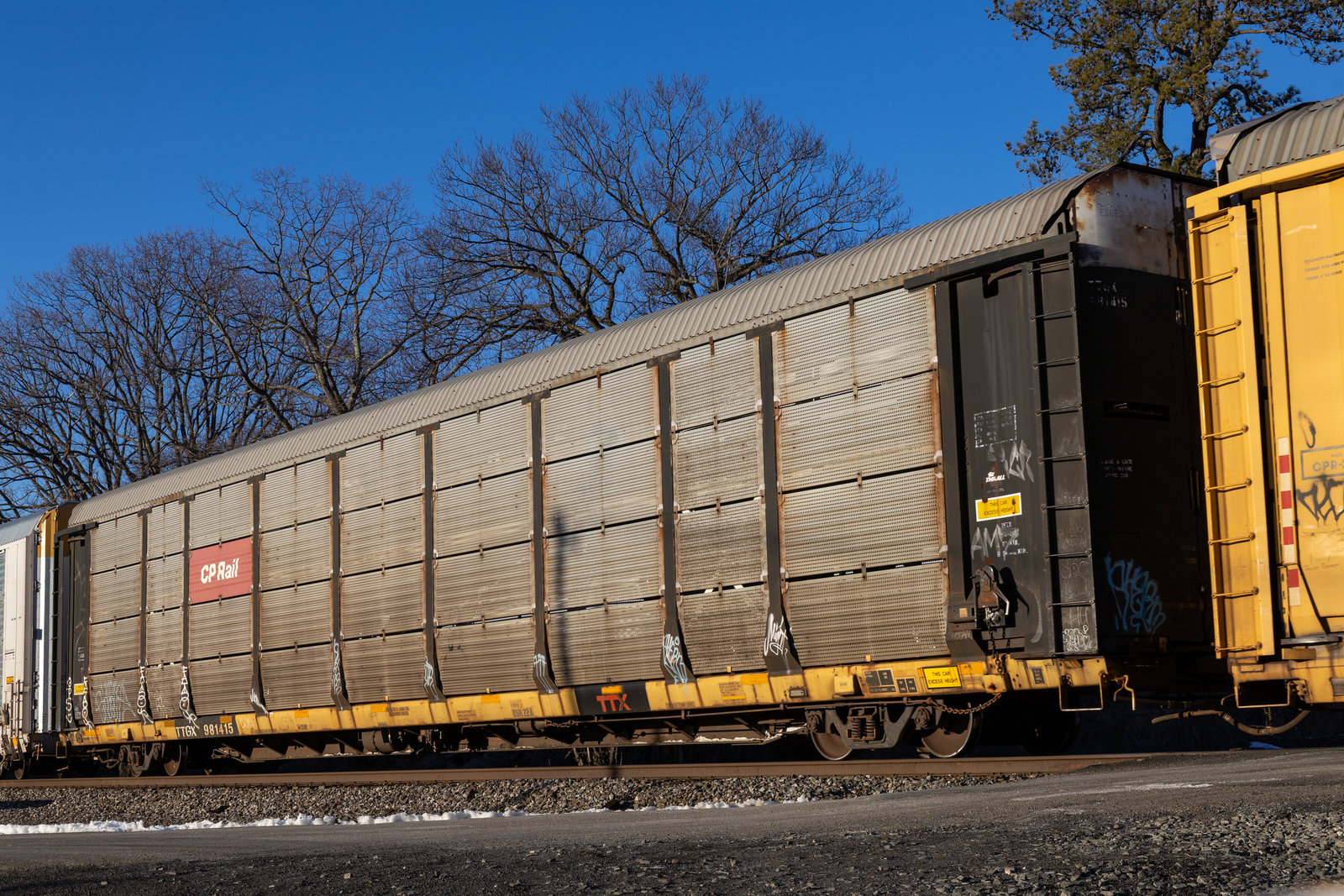 TTGX 981415