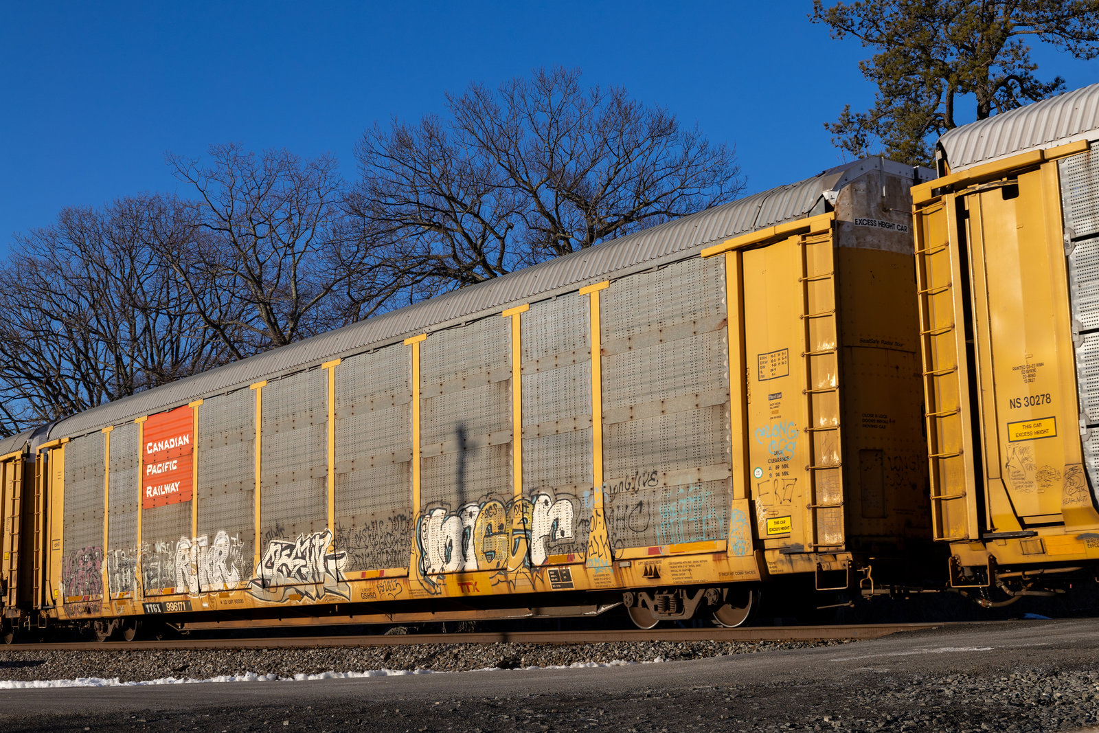 TTGX 996171