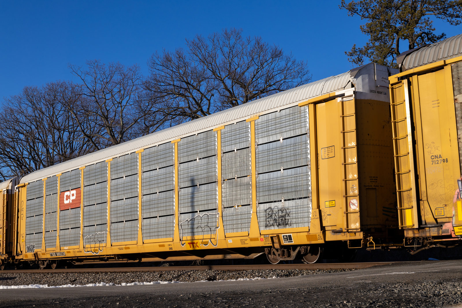 TTGX 988220