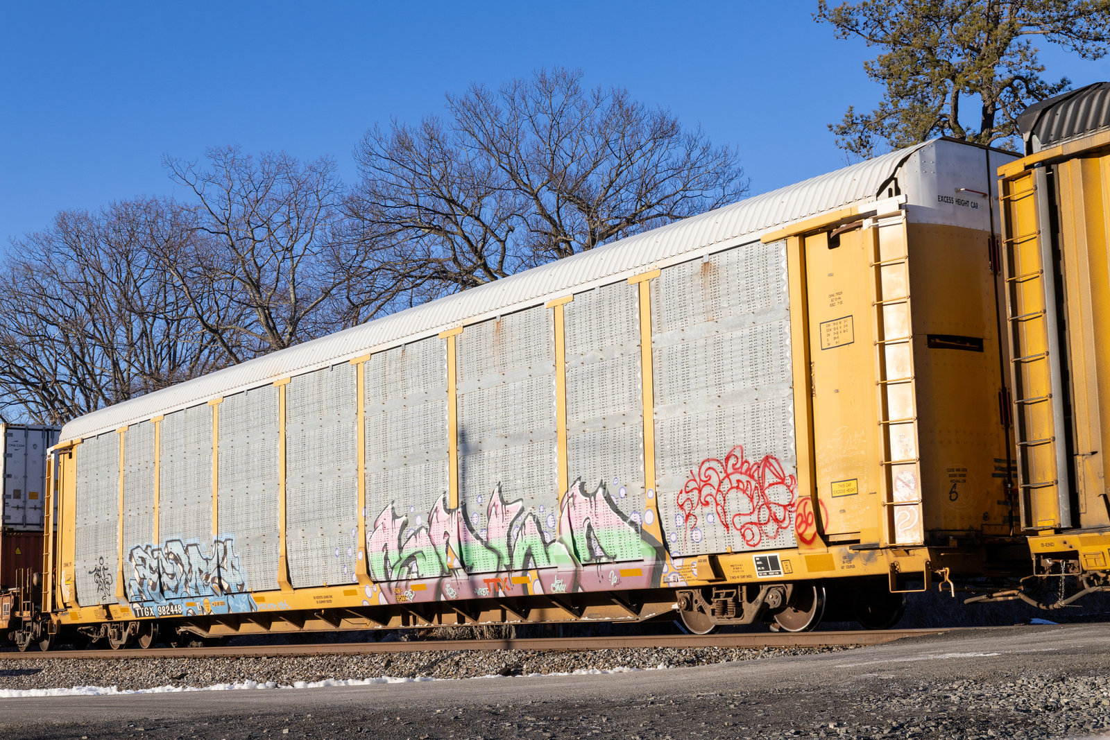 TTGX 982448