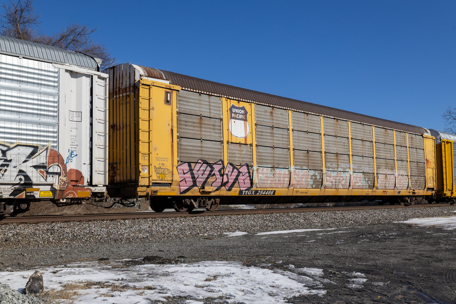 TTGX 254466