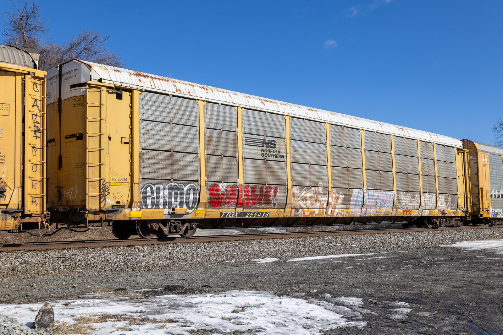 TTGX 255438