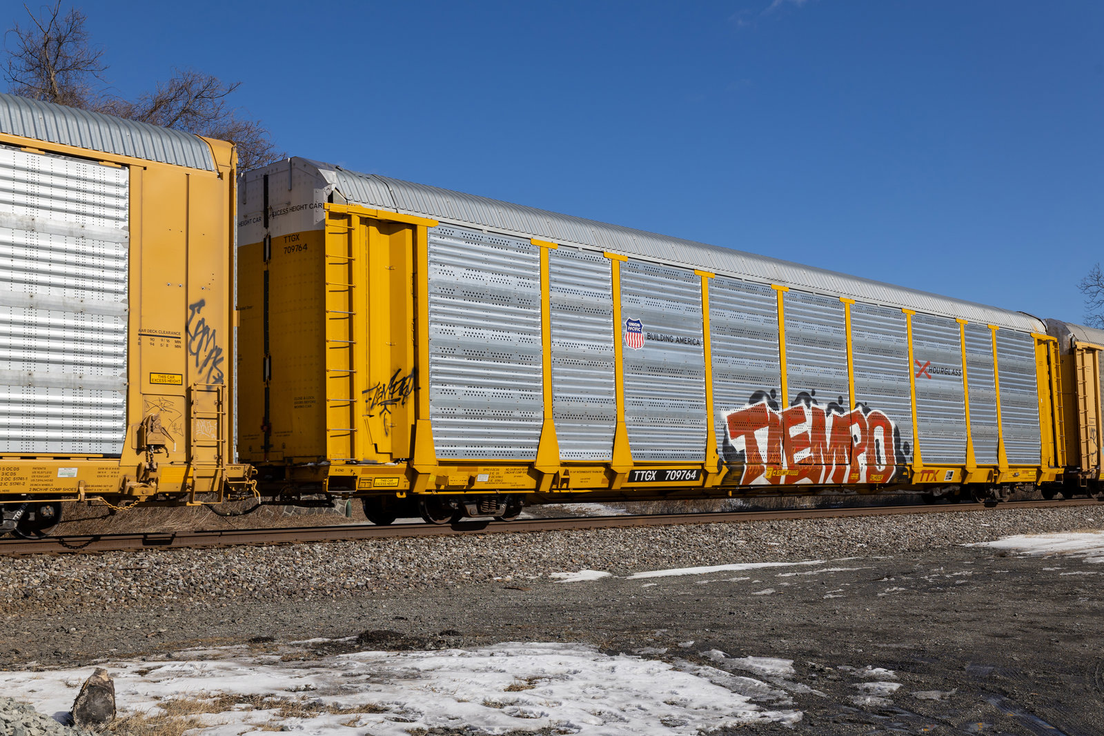 TTGX 709764