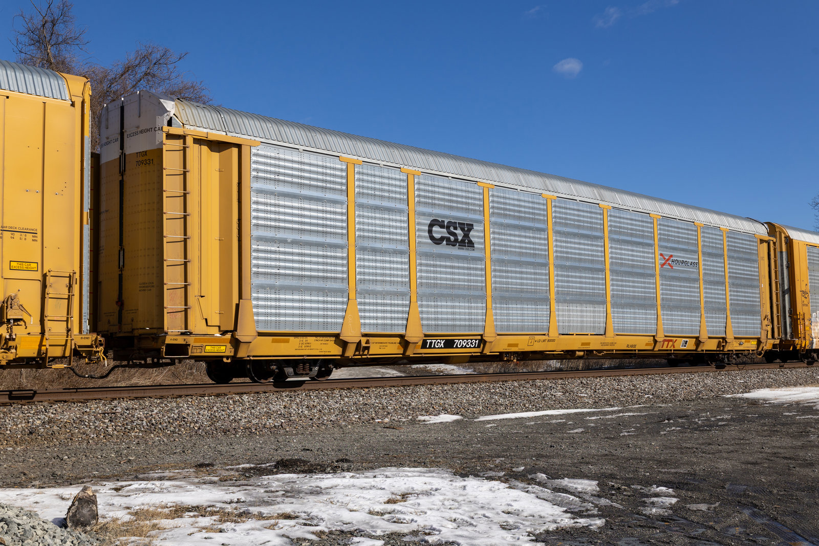 TTGX 709331