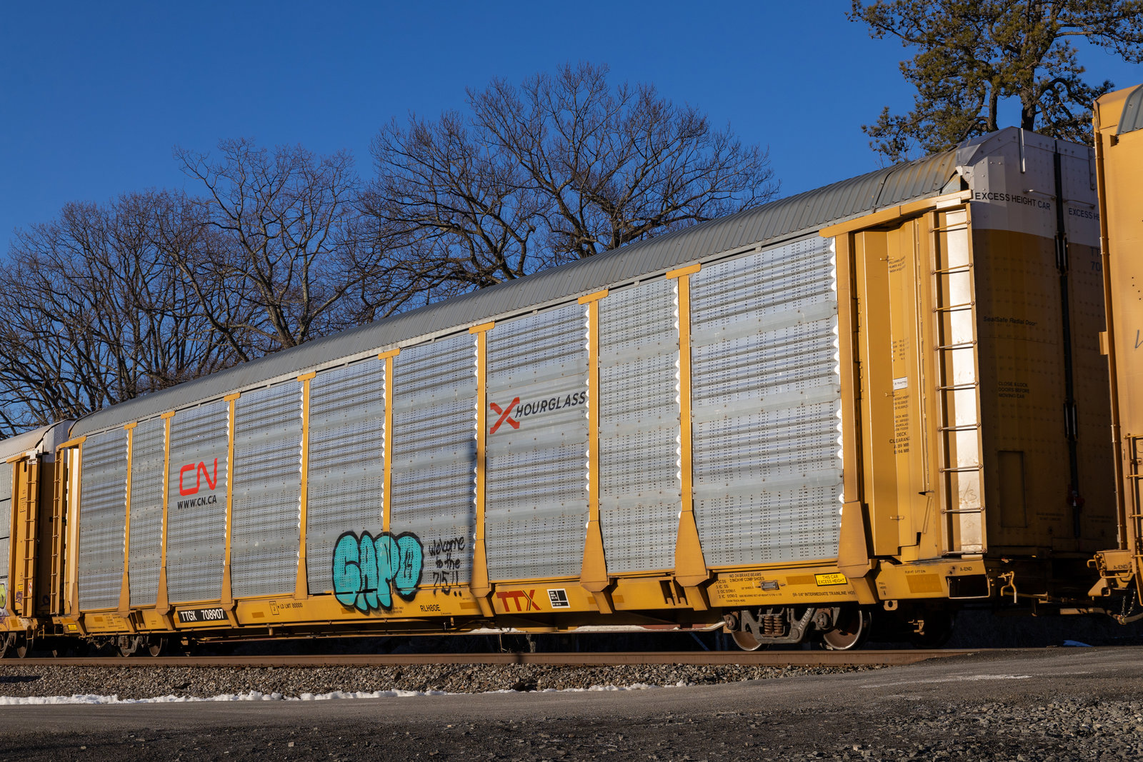TTGX 708907