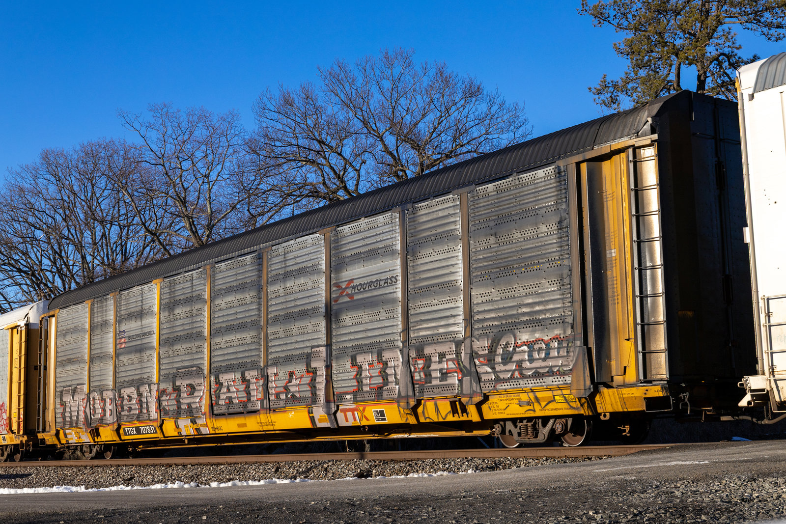 TTGX 707831