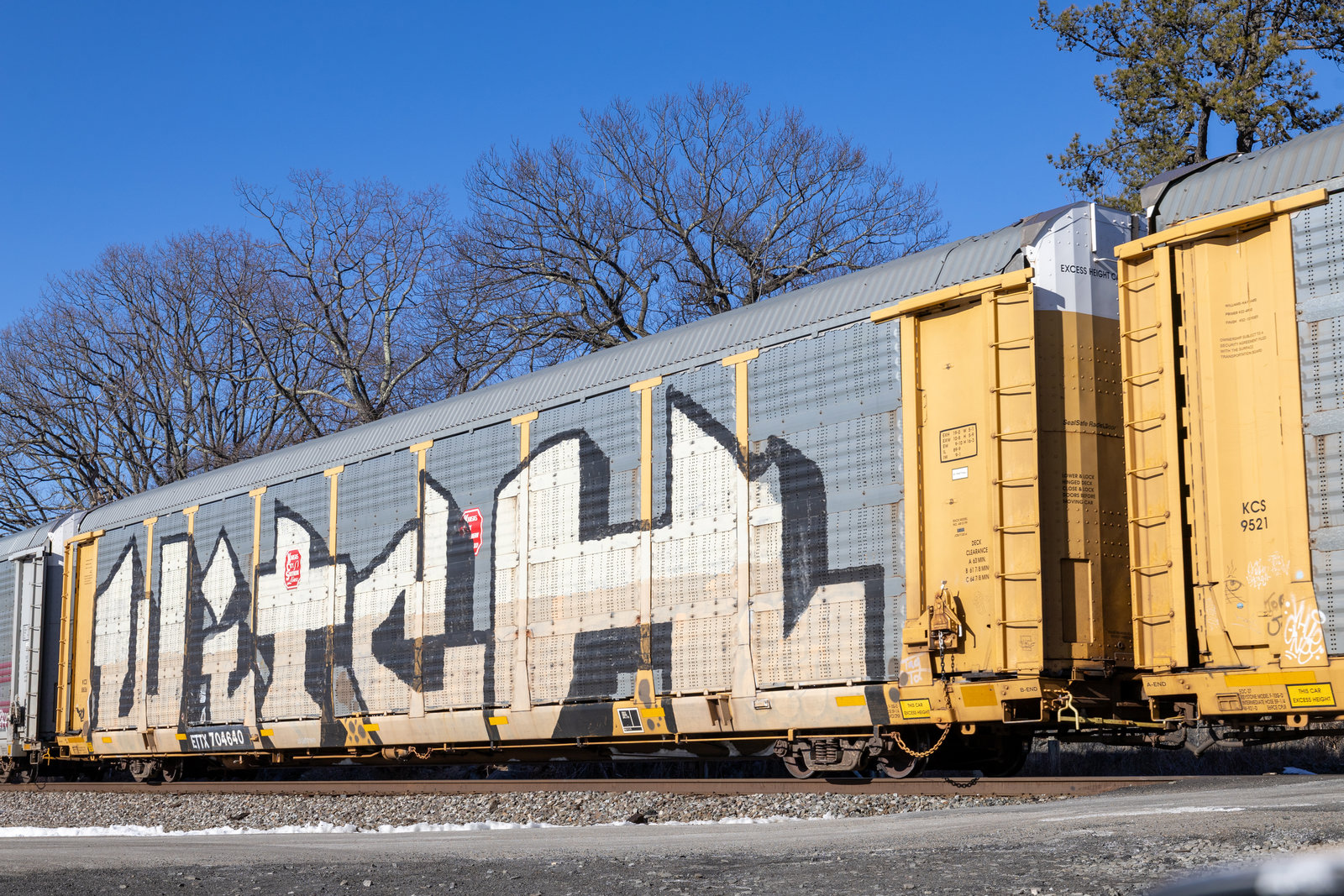 ETTX 704640