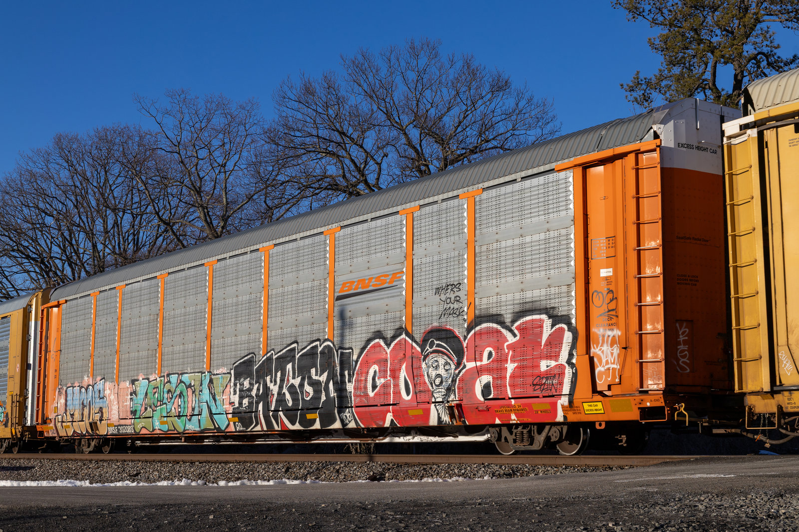 BNSF 302089