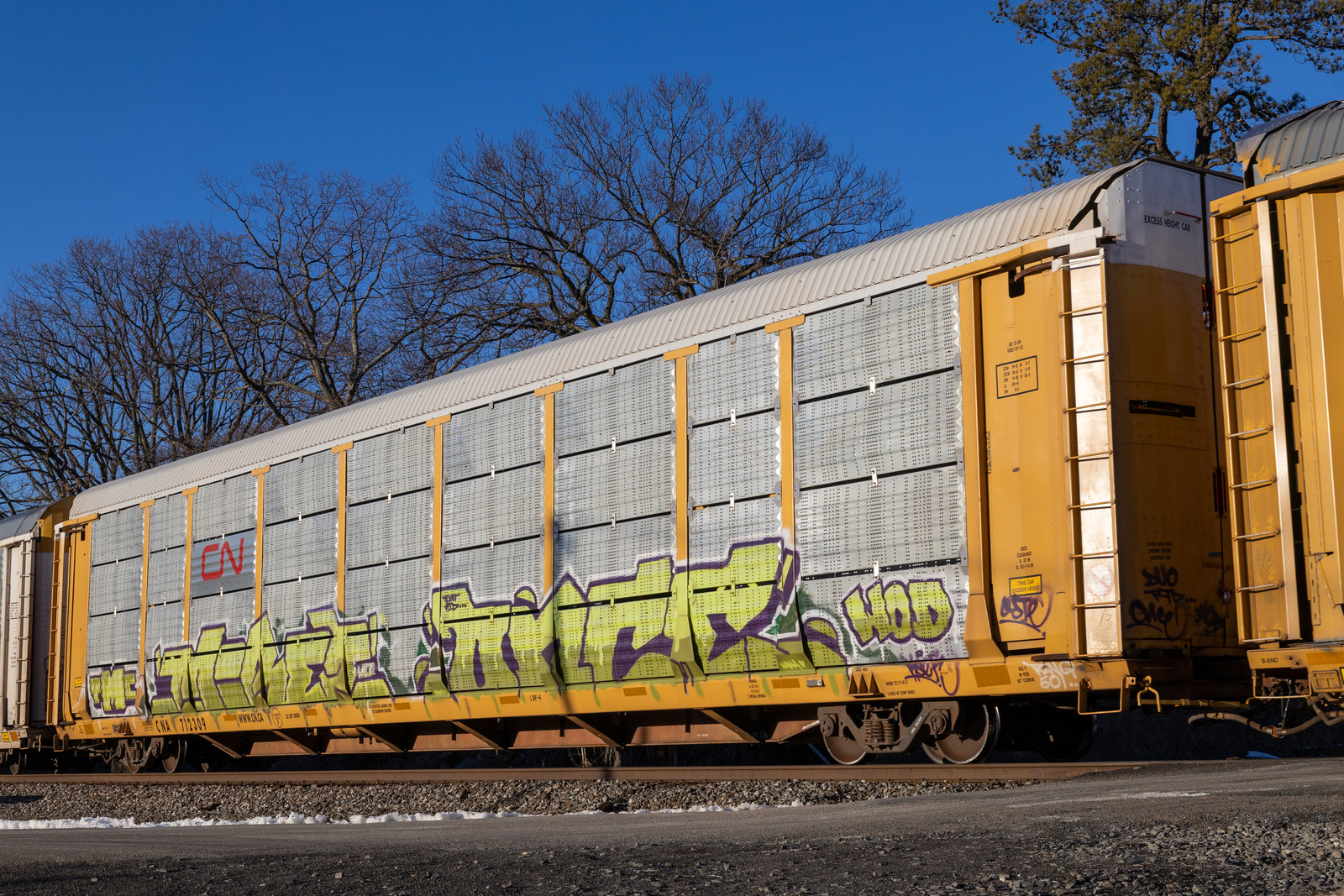 CNA 712309