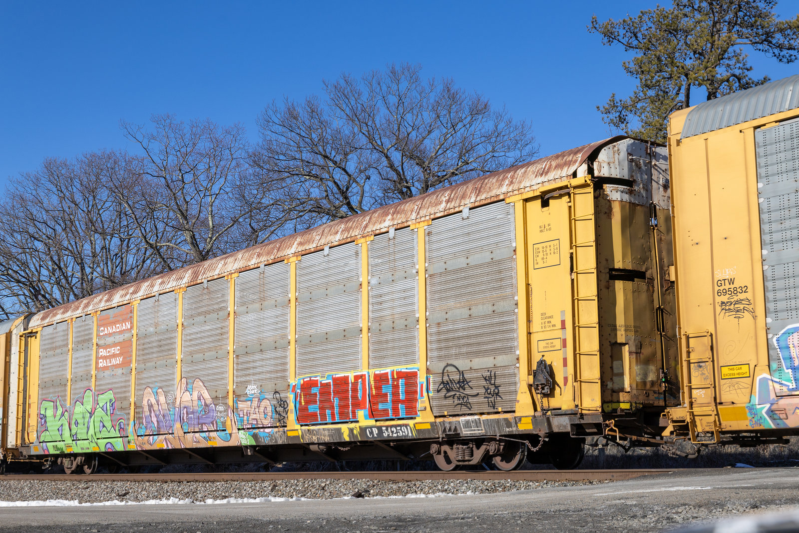 CP 542591